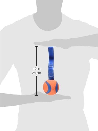 Chuckit! Ultra Tug Dog Toy With Rubber Ball Tug Of War Interactive Fetch Toy for Dogs, Medium