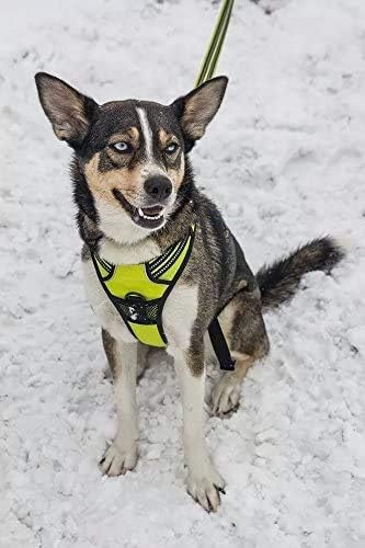 TrueLove Dog Harness TLH5651 No-pull Reflective | ObaPet