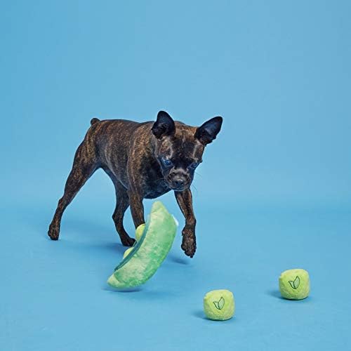 Barkbox 2 in 1 Interactive Plush Dog Toy - Rip and Reveal Toy for Dogs and Puppies - Stimulating Squeaky Pet Toys | Peas in a Pod (Small)