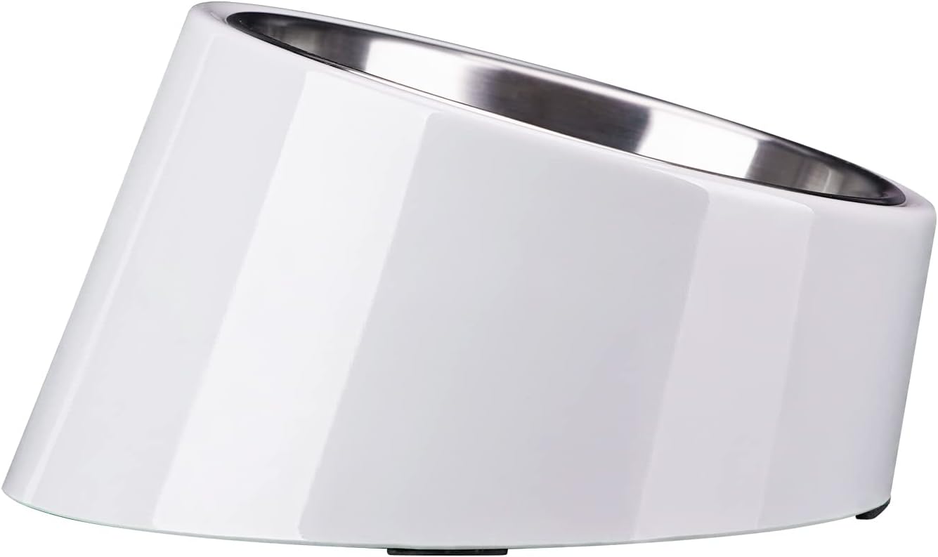 SuperDesign Mess Free 15° Slanted Bowl for Dogs | ObaPet