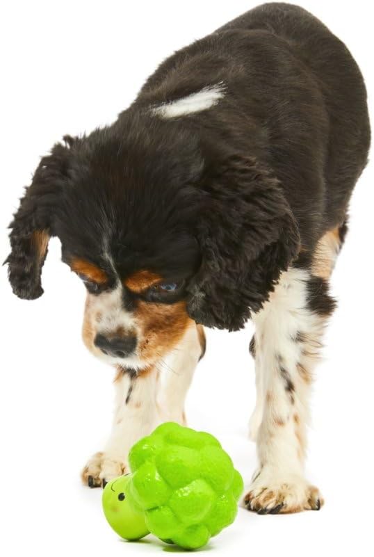 Petface Latex Apple Soft Chew Dog Toy, Large