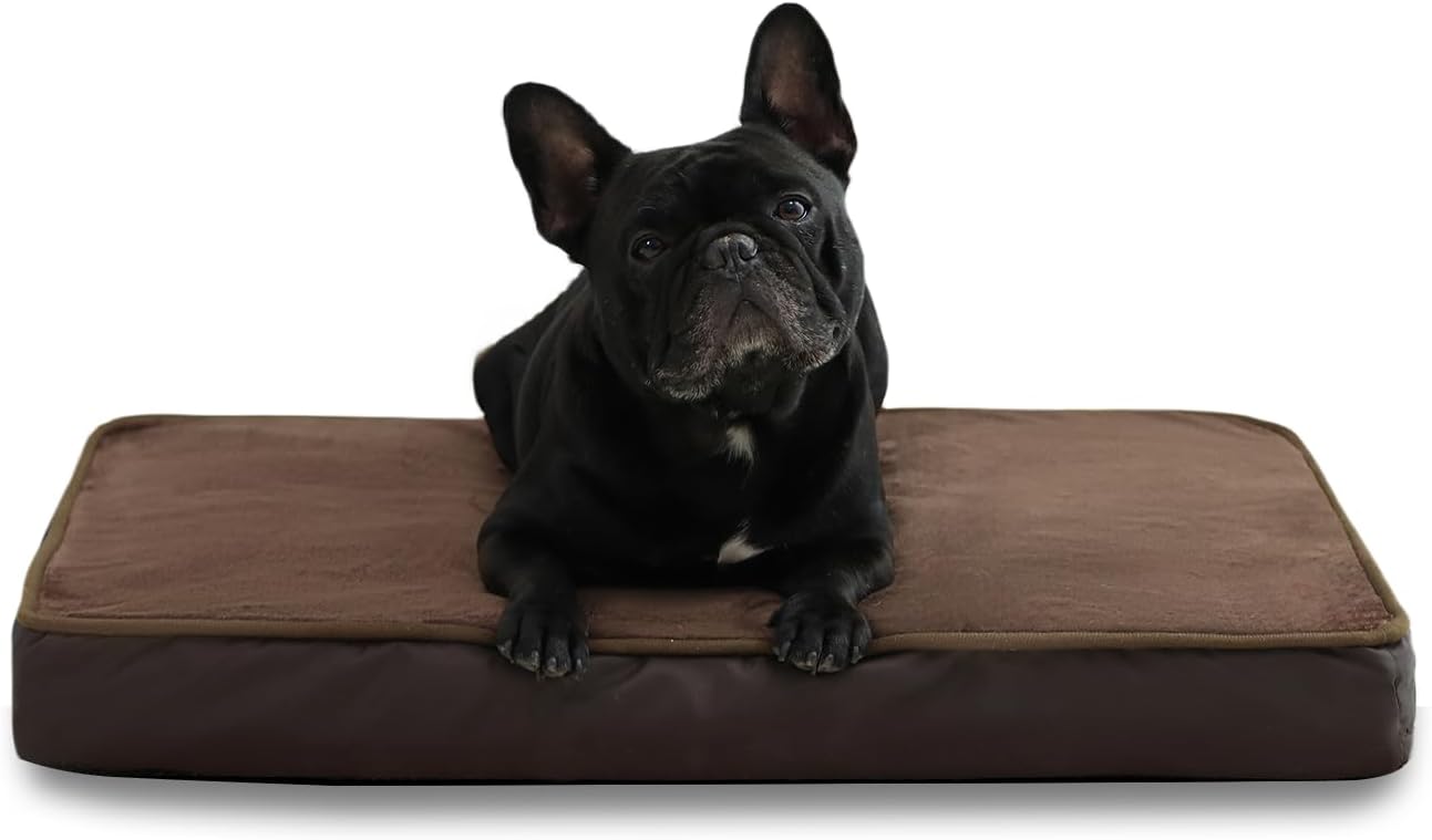Jaspuriea Orthopedic Dog Beds Washable with | ObaPet