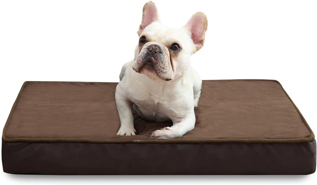 Jaspuriea Orthopedic Dog Beds Washable with | ObaPet