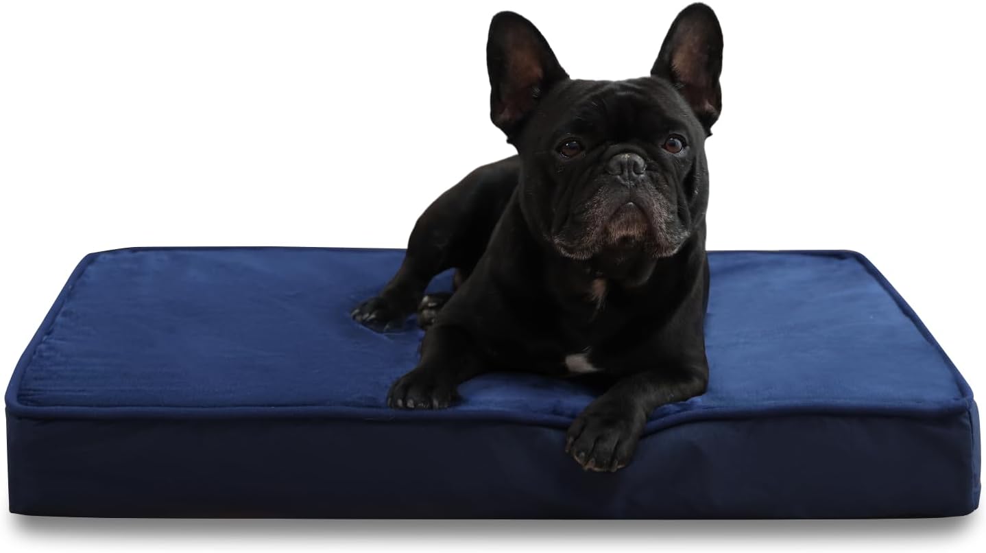Jaspuriea Orthopedic Dog Beds Washable with | ObaPet