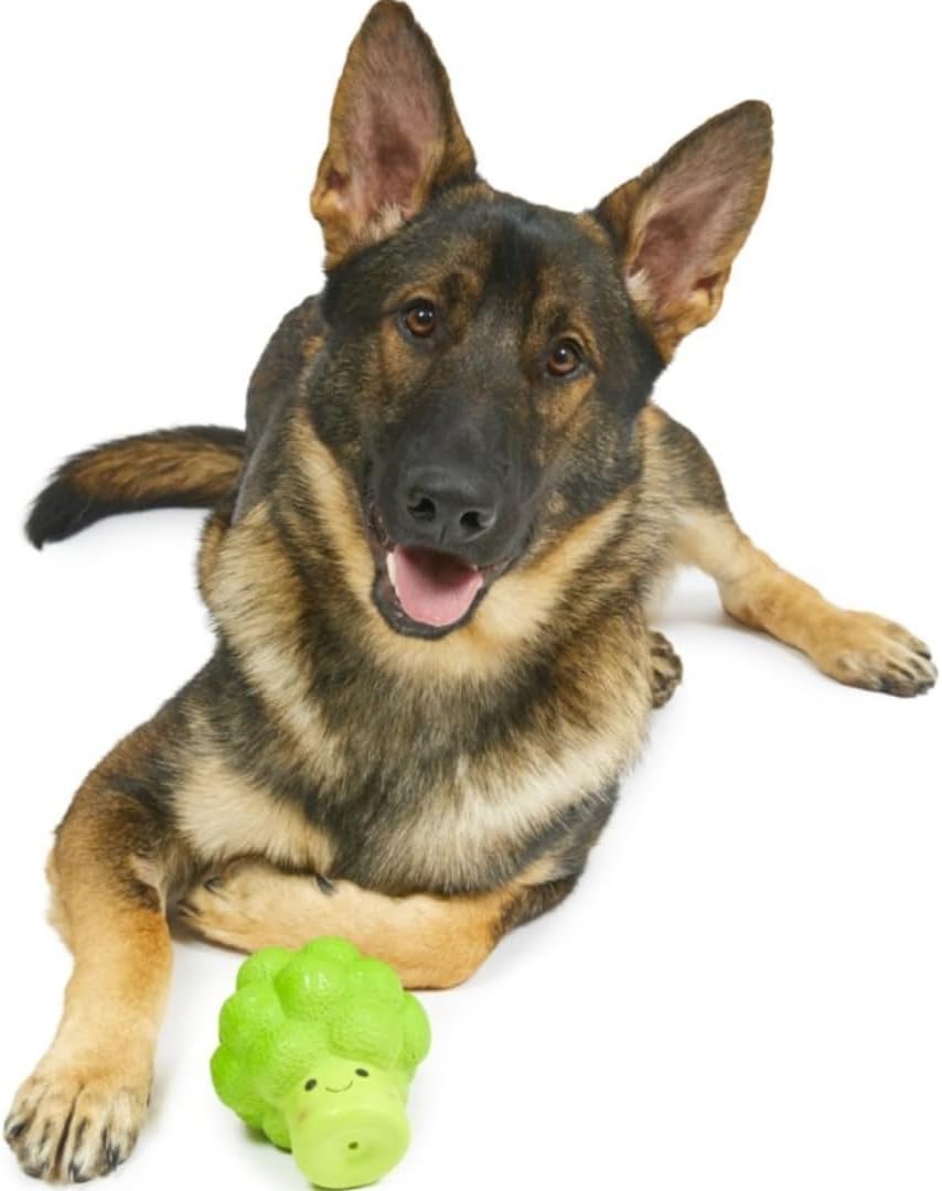 Petface Latex Apple Soft Chew Dog Toy, Large