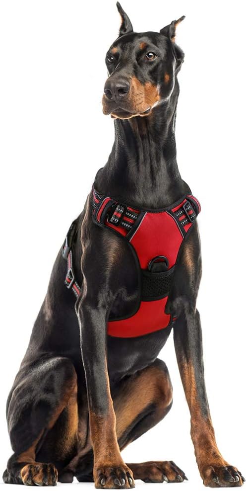 rabbitgoo Dog Harness Dog No Pull Pet Harness | ObaPet