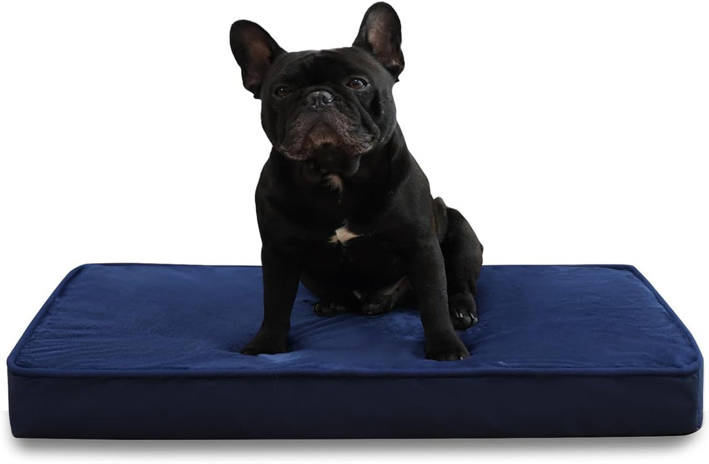 Jaspuriea Orthopedic Dog Beds Washable with | ObaPet