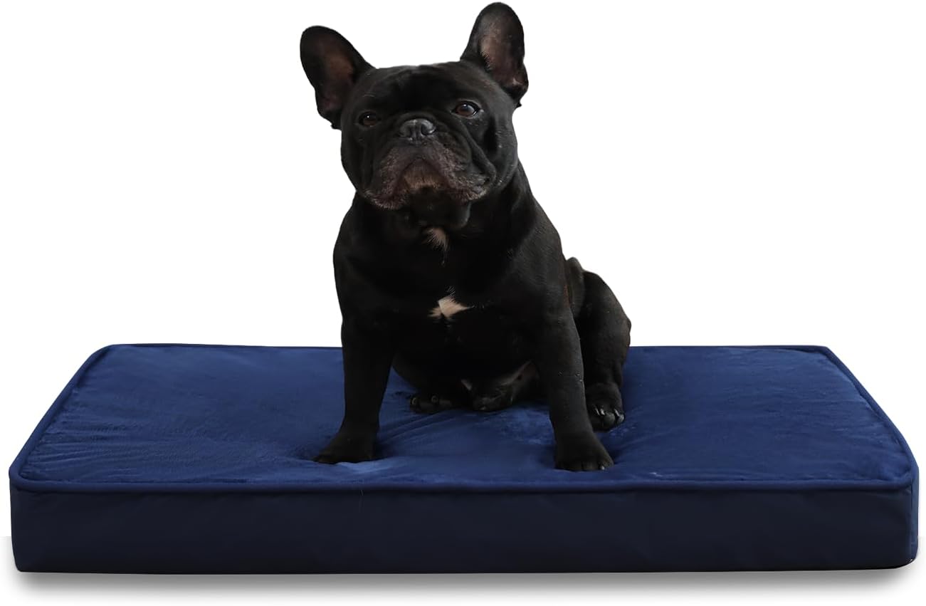 Jaspuriea Orthopedic Dog Beds Washable with | ObaPet