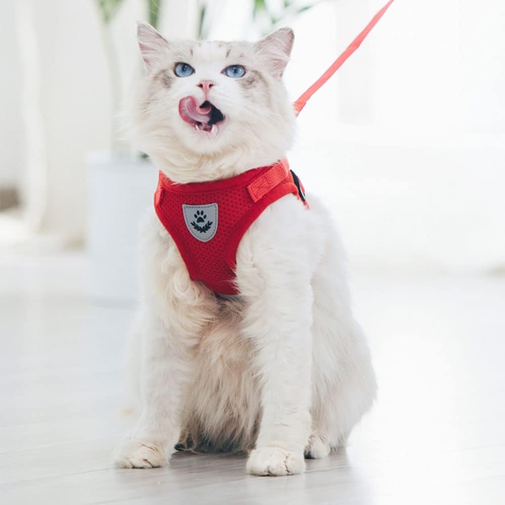 Anlitent Soft Mesh No Pull Cat Harness and Lead | ObaPet