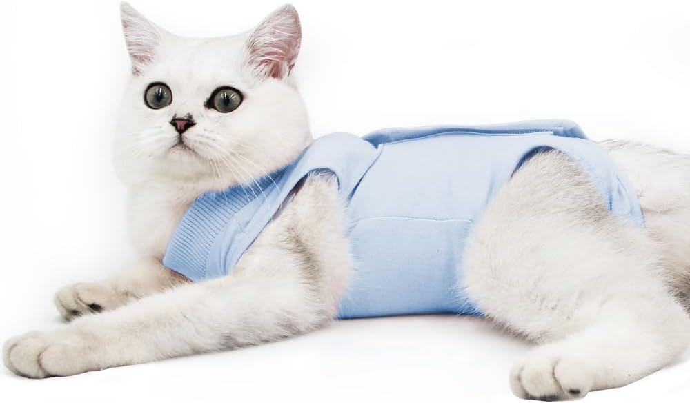 Cat Professional Recovery Suit for Abdominal | ObaPet