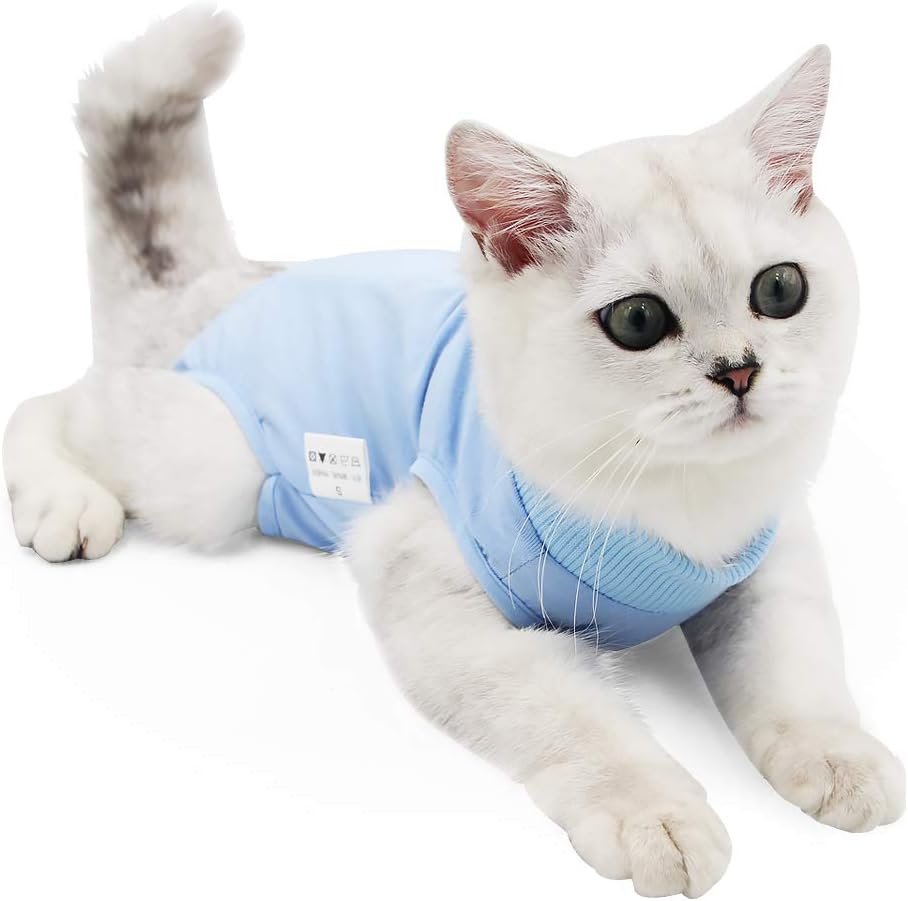 Cat Professional Recovery Suit for Abdominal | ObaPet
