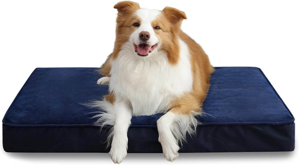 Jaspuriea Orthopedic Dog Beds Washable with | ObaPet