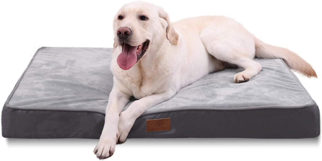Jaspuriea Orthopedic Dog Beds Washable with | ObaPet