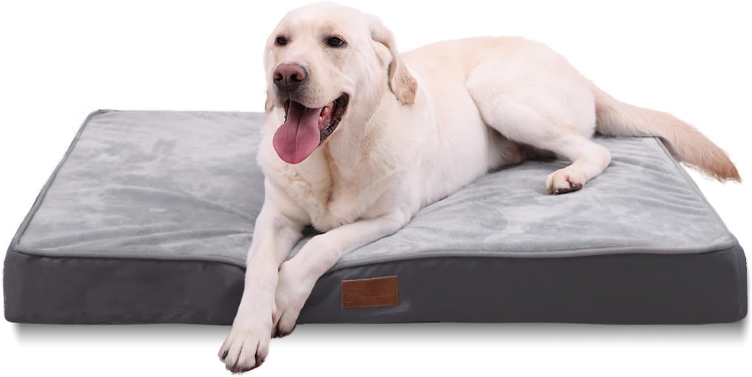 Jaspuriea Orthopedic Dog Beds Washable with | ObaPet