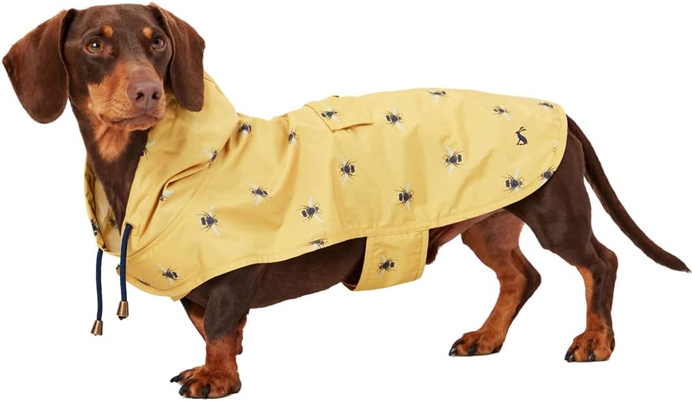 Rosewood Joules Go Lightly Packaway Jacket For Dogs, Small