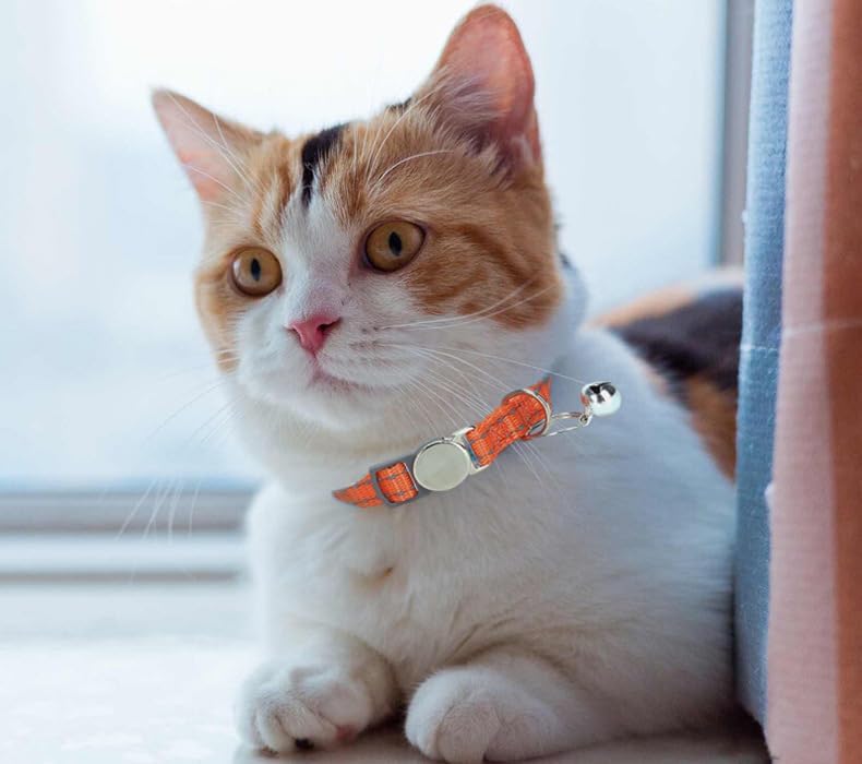 SEOUGEE Cat Collar Quick Release with | ObaPet