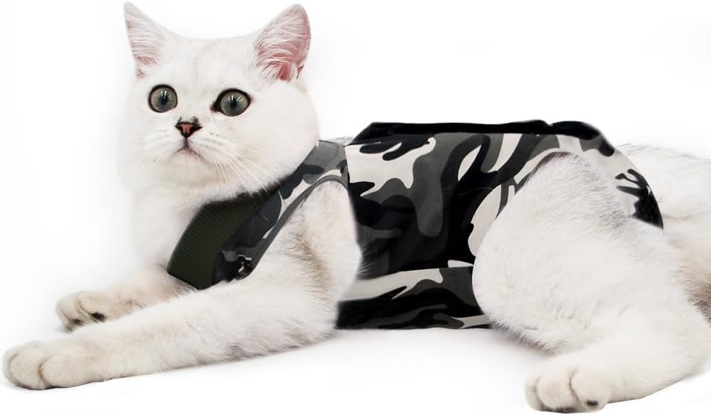 Cat Professional Recovery Suit for Abdominal | ObaPet