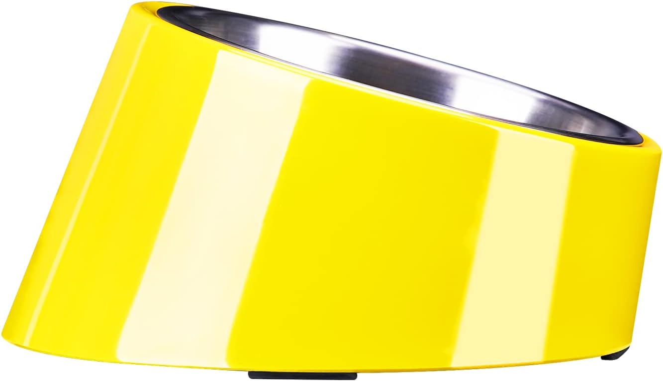 SuperDesign Mess Free 15° Slanted Bowl for Dogs | ObaPet