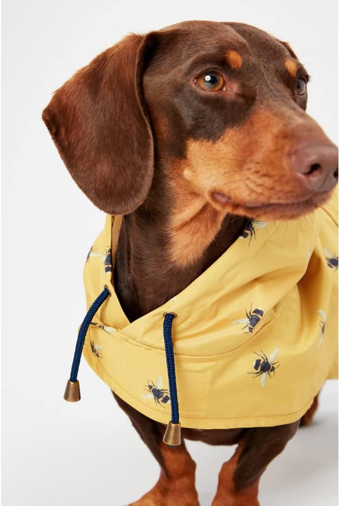 Rosewood Joules Go Lightly Packaway Jacket For Dogs, Small