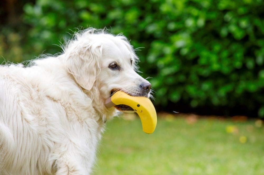 Petface Latex Apple Soft Chew Dog Toy, Large