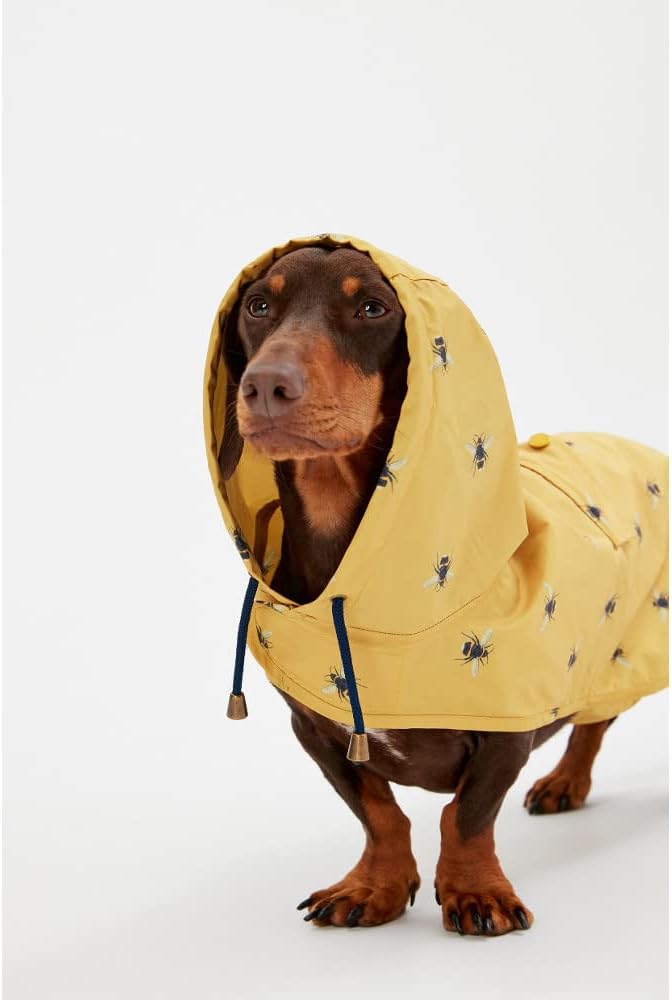 Rosewood Joules Go Lightly Packaway Jacket For Dogs, Small