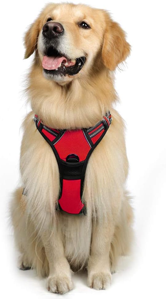 rabbitgoo Dog Harness Dog No Pull Pet Harness | ObaPet
