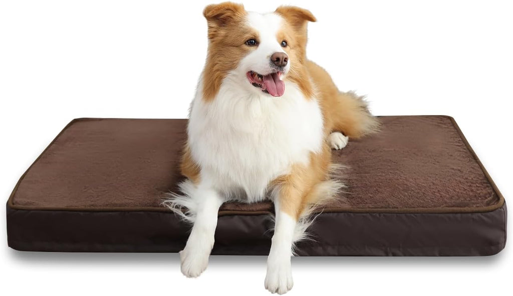 Jaspuriea Orthopedic Dog Beds Washable with | ObaPet