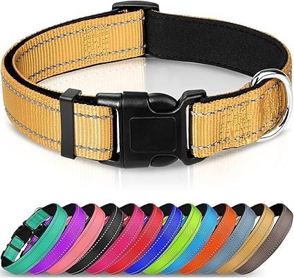 Joytale Reflective Dog Collar, Soft Neoprene | ObaPet