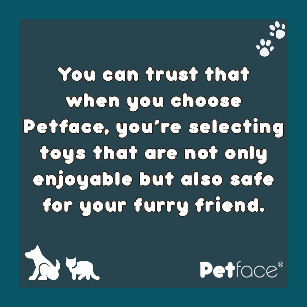 Petface Freddie Fox Plush Cat Toy Filled with | ObaPet
