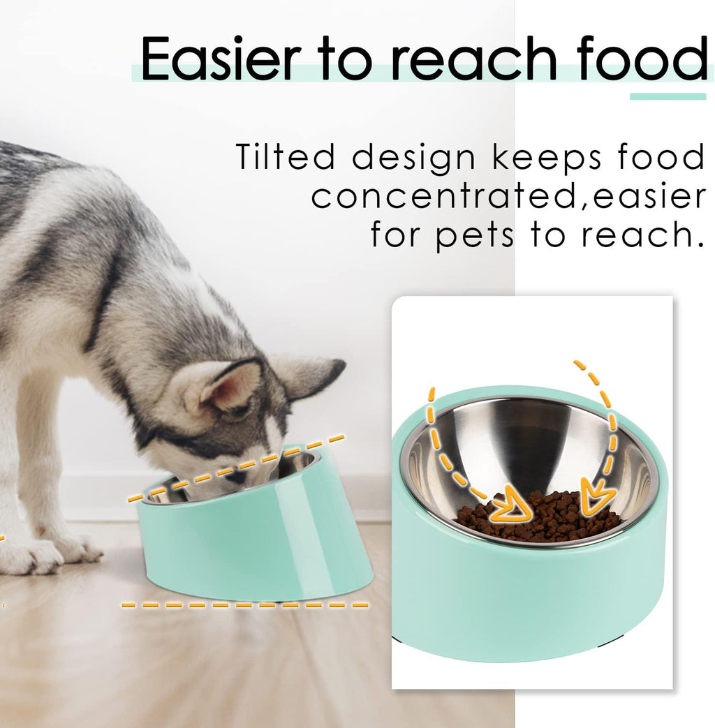 SuperDesign Mess Free 15° Slanted Bowl for Dogs | ObaPet