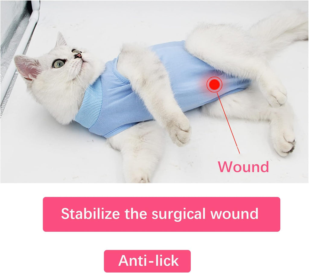 WDEC M 2-4kg Cat Professional Recovery Suit for | ObaPet