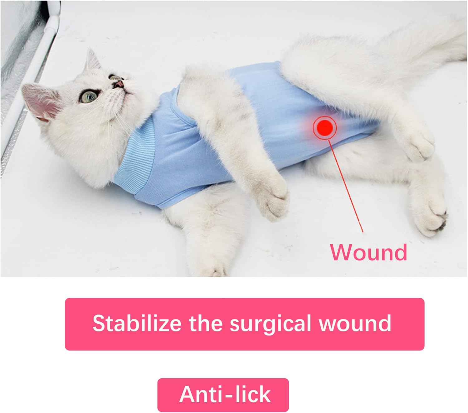 WDEC M 2-4kg Cat Professional Recovery Suit for | ObaPet