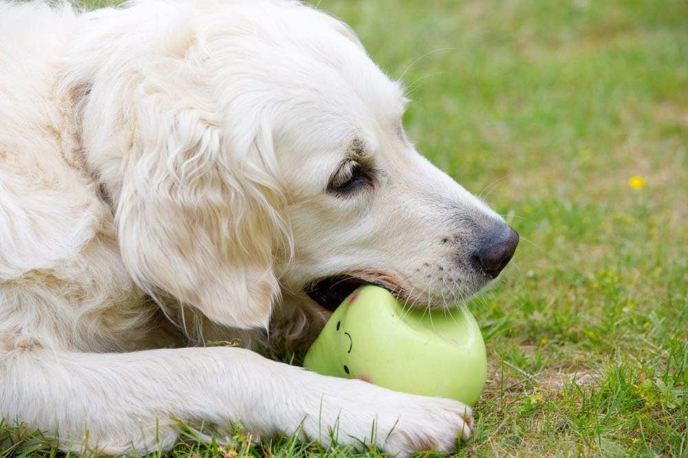 Petface Latex Apple Soft Chew Dog Toy, Large