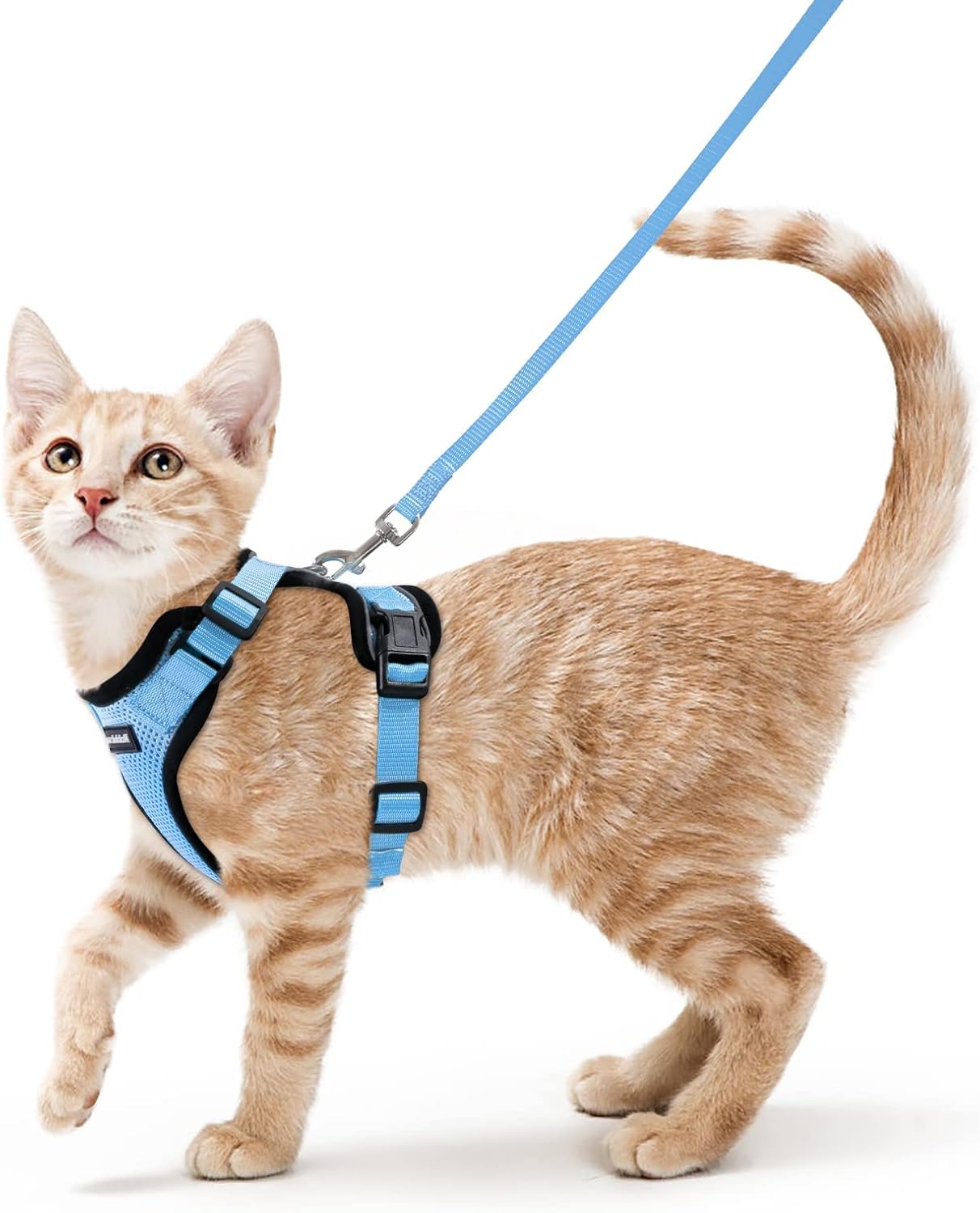 rabbitgoo Cat Harness and Lead Set, Escape Proof | ObaPet