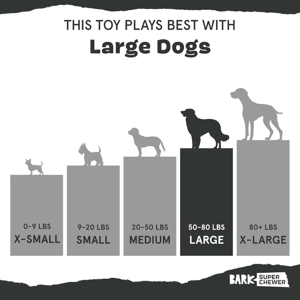 Barkbox Squeaky Dog Toys - Plush and Squeak Chew Toys | Puppy and Pet Toys for Large Dogs Pinata - Large