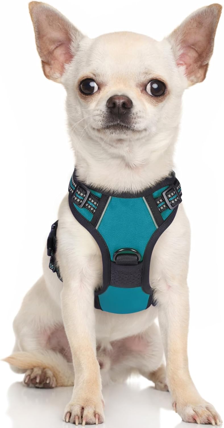 rabbitgoo Dog Harness Dog No Pull Pet Harness | ObaPet