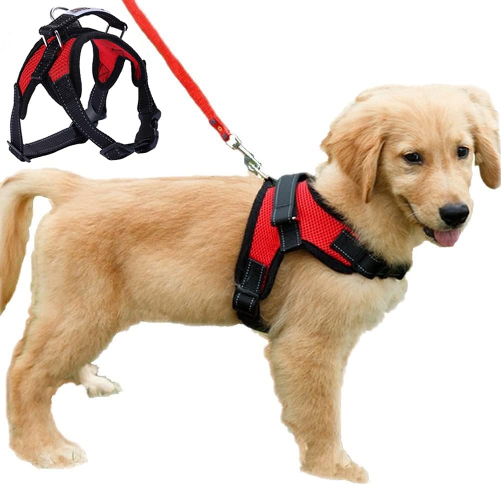 Dog Harness Mesh Breathable Comfortable Pet Vest | ObaPet