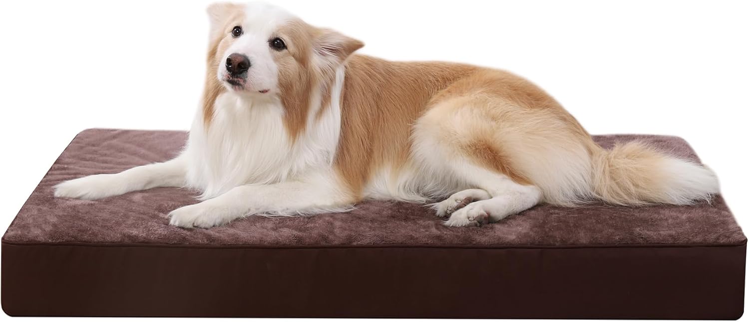 KSIIA Dog Beds Large Washable, Orthopedic Dog | ObaPet