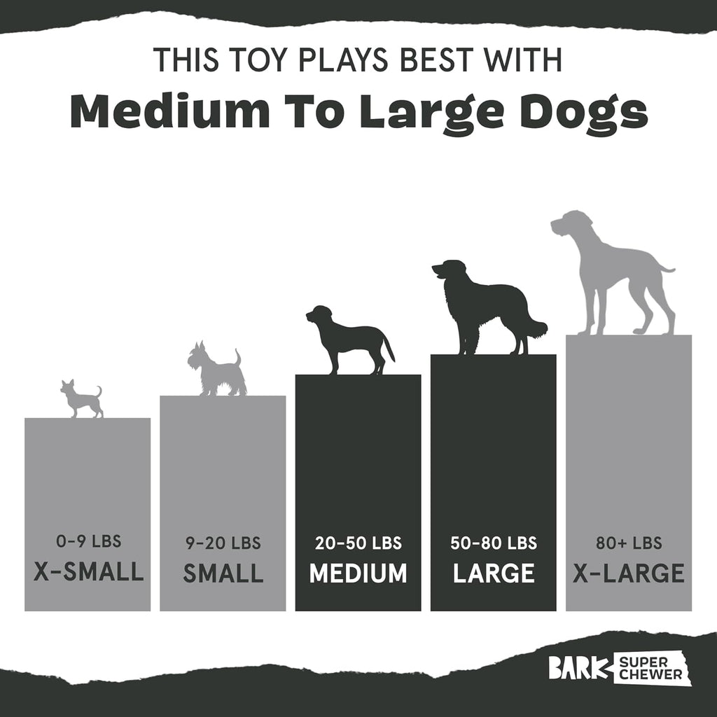 Barkbox Squeaky Dog Toys - Plush and Squeak Chew Toys | Puppy and Pet Toys for Large Dogs Pinata - Large