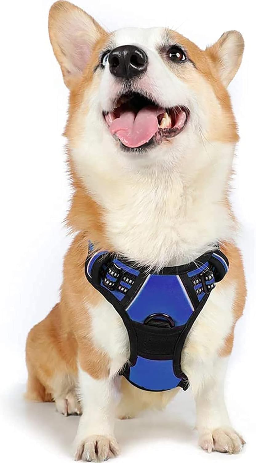 rabbitgoo Dog Harness Dog No Pull Pet Harness | ObaPet