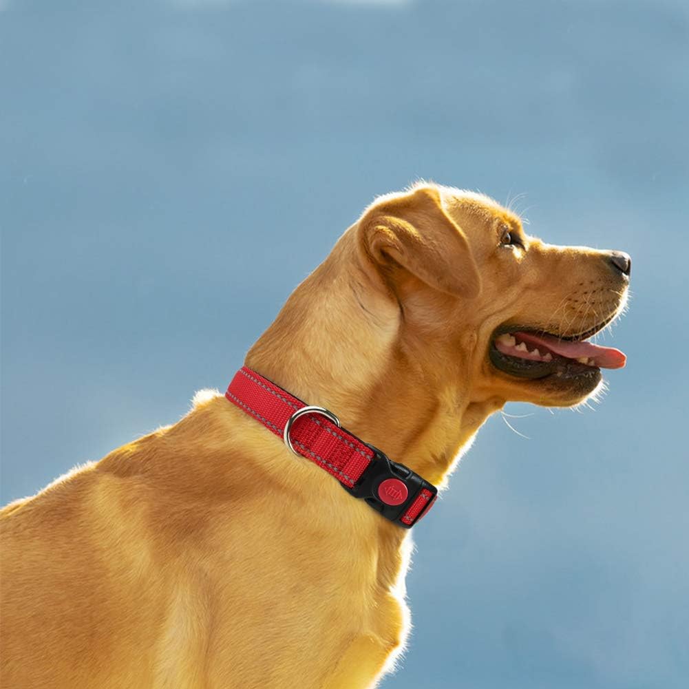 Taglory Reflective Nylon Dog Collar with Safety | ObaPet