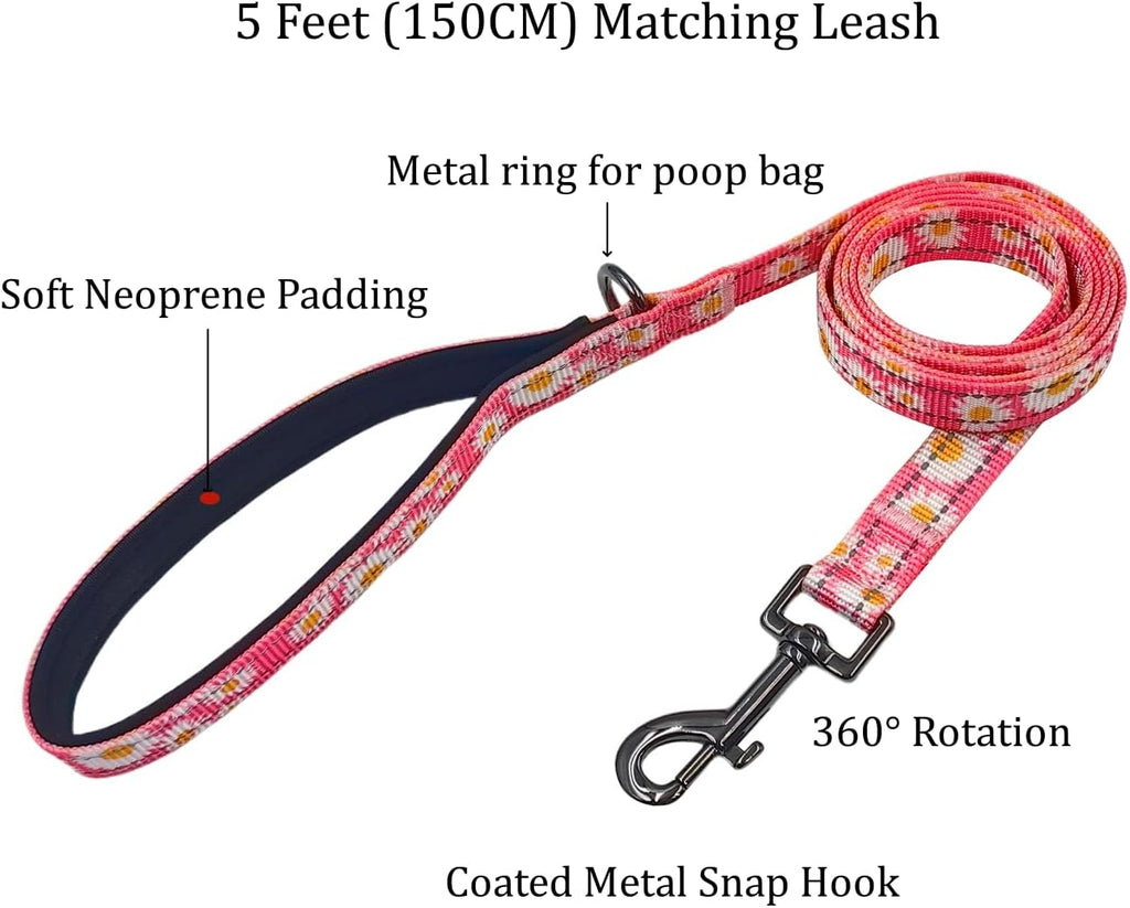 Olahibi Daisy Pattern Dog Collar and Leash | ObaPet