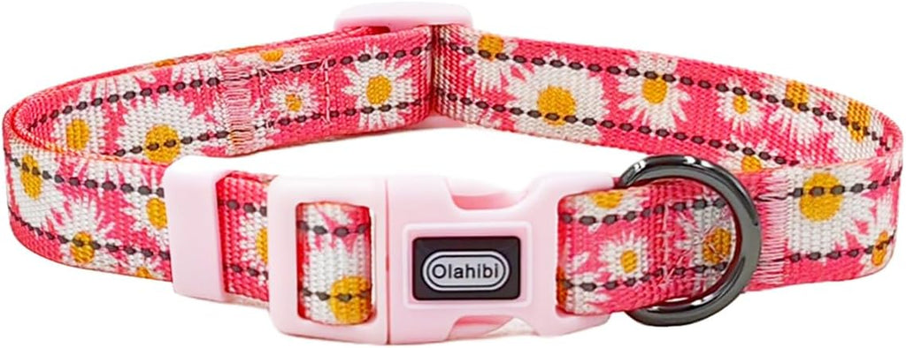Olahibi Daisy Pattern Dog Collar and Leash | ObaPet