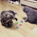 Andiker Cat Spring 12pcs, Cat Interactive Toy to | ObaPet