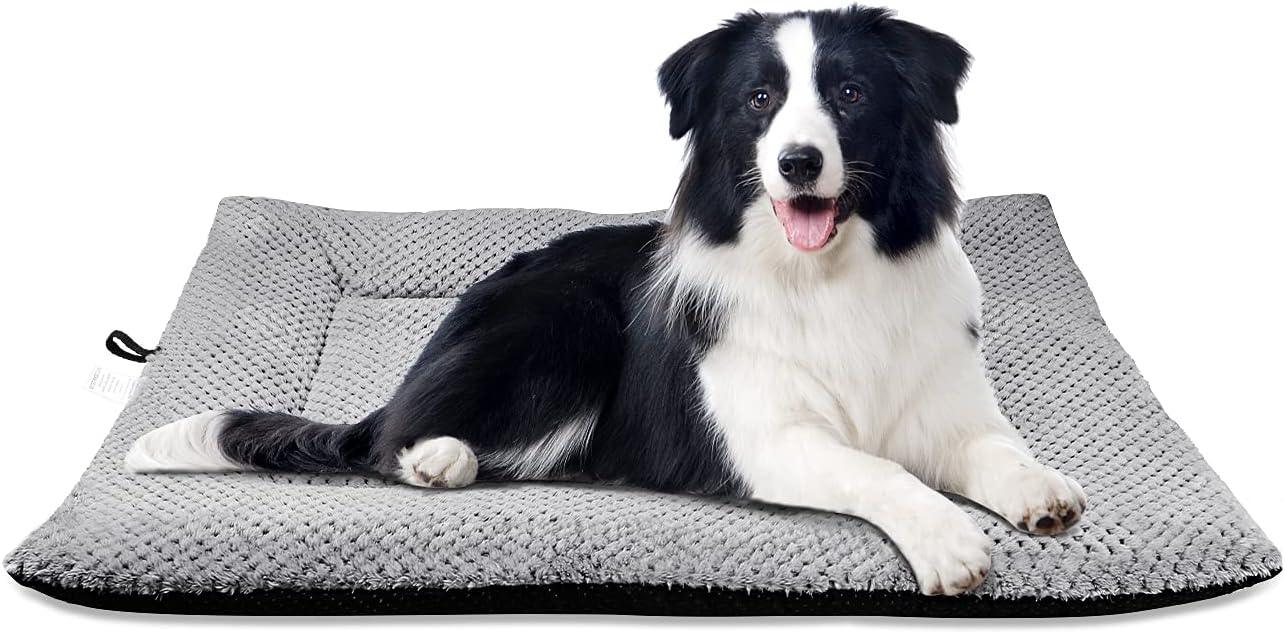 Onarway Dog Bed Mat Medium: Washable Fluffy Dog | ObaPet