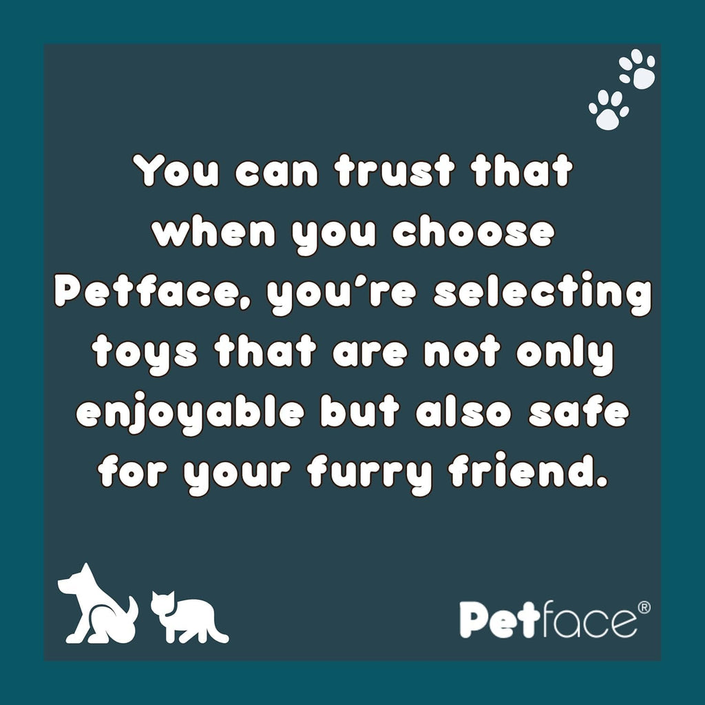 Petface Latex Apple Soft Chew Dog Toy, Large