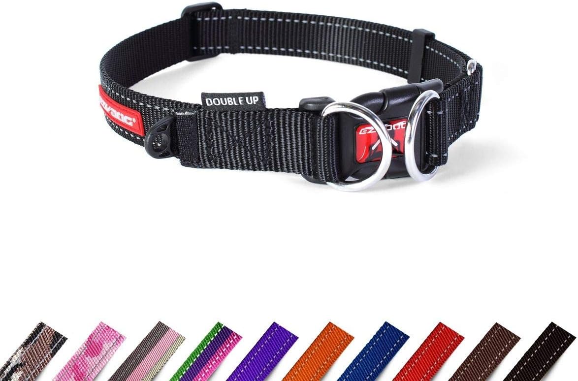 EZYDOG Double Up Dog Collar | ObaPet