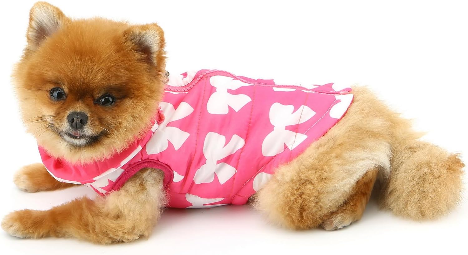SMALLLEE_LUCKY_STORE Small Dog Cat Winter Coat Harness Jacket with D-ring Boy Girl Pet Puppy Comfort Padded Bomber Vest No Pull Chihuahua Clothes Pink Bows XS