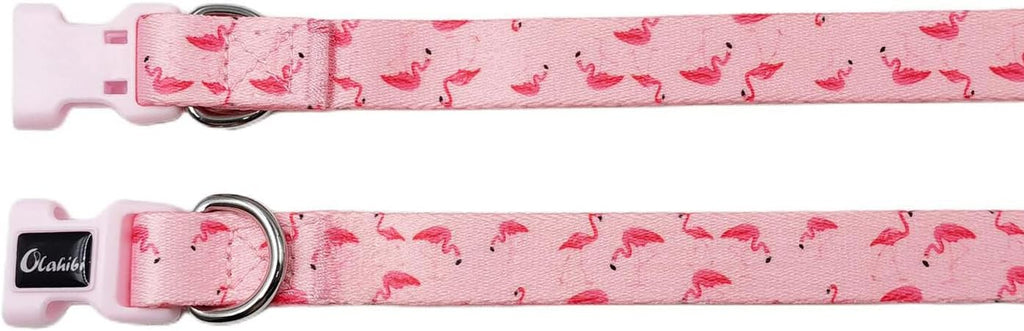 Olahibi Daisy Pattern Dog Collar and Leash | ObaPet