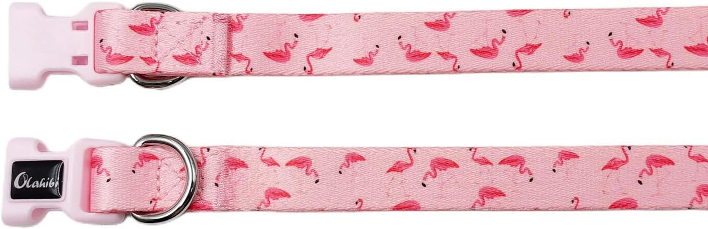 Olahibi Daisy Pattern Dog Collar and Leash | ObaPet